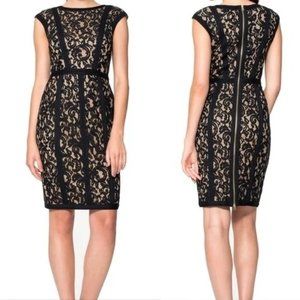 Tadashi Shoji Cap Sleeve Black Nude Lace Sheath Cocktail Dress